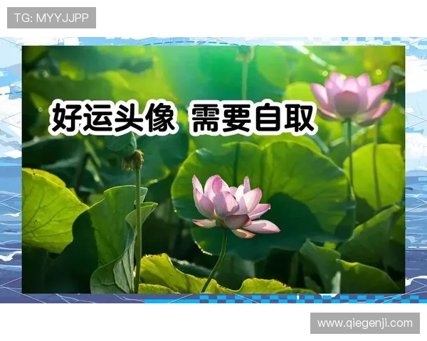 探索开运手机娱乐的神奇力量，让好运常伴左右